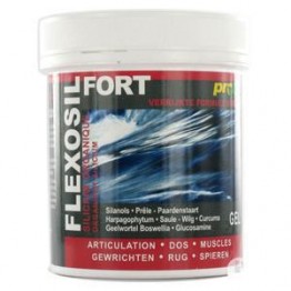 Flexosil Forte 200 ml