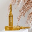 Advancis Capilar Resist-S Cabelos Fracos e com Queda 12x10ml ampolas