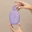 Alfaparf Milano Semi Di Lino Smooth Shampoo Alisante 250ml