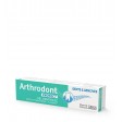 Arthrodont Protect Gel Dentífrico Dentes e Gengivas Fragilizadas 75ml
