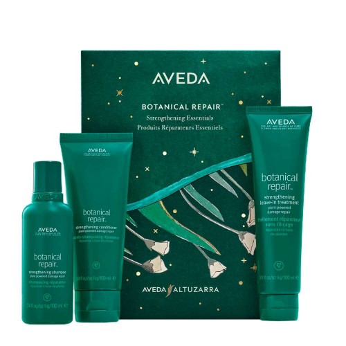 Aveda Botanical Repair Gift Set