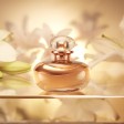 O Boticário Lily Lumière Eau de Parfum 75ml