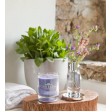 Castelbel Vela Lavanda 210g