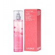 Caudalie Rose de Vigne Eau Fraîche 50ml