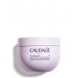 Caudalie Vinotherapist Bálsamo Corporal Vegan Relipidante 250ml