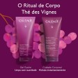 Caudalie Thé Des Vignes Ritual Corporal Coffret