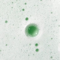 Caudalie Vinoclean Espuma de Limpeza 2x150ml Preço Especial