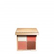Clarins All-In-One Paleta