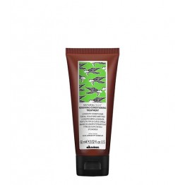Davines Naturaltech Renewing Conditioning Treatment 60ml