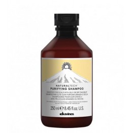 Davines Naturaltech Purifying Shampoo 250ml