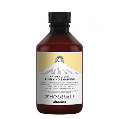 Davines Naturaltech Purifying Shampoo 250ml