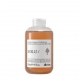 Davines Solu Shampoo Limpeza Profunda 250ml