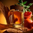 Dolce & Gabbana The One Men Eau de Parfum 50ml