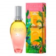 Escada Brisa Cubana Eau de Toilette 50ml Edição Limitada