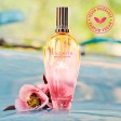Escada Brisa Cubana Eau de Toilette 50ml Edição Limitada