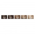 Framesi Framcolor Glamour Coloração 5 Castanho Claro 100ml