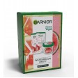 Garnier Watermelon Mask Party