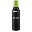 Gillette Labs Espuma 240ml