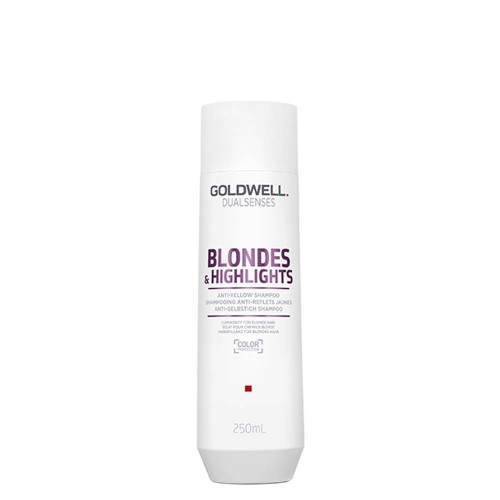 Goldwell DualSenses Blondes & Highlights Shampoo 250ml