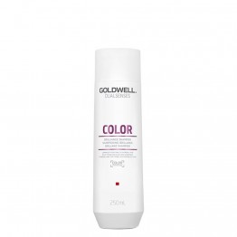 Goldwell DualSenses Color Shampoo 250ml