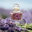 Guerlain Mon Guerlain Eau de Parfum 50ml