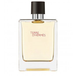 Hermès Terre d'Hermès Eau de Toilette 200ml