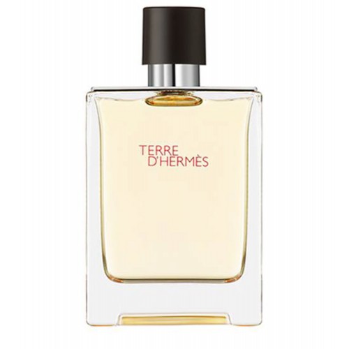 Hermès Terre d'Hermès Eau de Toilette 200ml