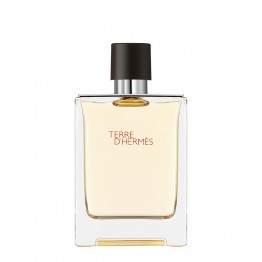 Hermès Terre d'Hermès Eau de Toilette 100ml