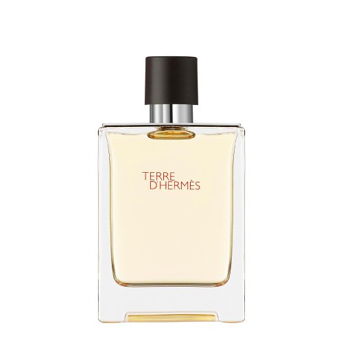 Hermès Terre d'Hermès Eau de Toilette 100ml
