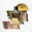 Hermès Terre d'Hermès Parfum Recarregável 30ml + Recarga 125ml