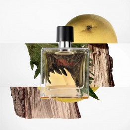 Hermès Terre d'Hermès Parfum Recarregável 30ml + Recarga 125ml