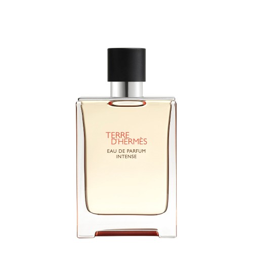 Hermès Terre D'Hermès Eau de Parfum Intense Recarregável 100ml