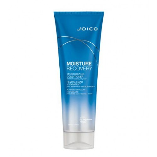 Joico Moisture Recovery Condicionador Cabelo Seco 250ml