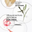 Kérastase Genesis Ampoule Cure Antiqueda 10x6ml