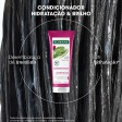 Klorane Figo da Índia Condicionador 200ml