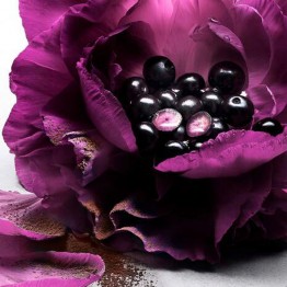 Lancôme La Nuit Trésor Le Parfum 100ml