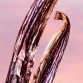 Lancôme La Vie est Belle Vanille Nude Eau de Parfum 30ml