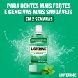 Listerine Proteção Dentes & Gengivas 250ml