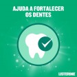 Listerine Proteção Dentes & Gengivas 250ml