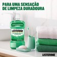 Listerine Proteção Dentes & Gengivas 250ml