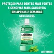 Listerine Proteção Dentes & Gengivas Sabor Suave 1000ml