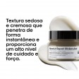 L'Oréal Absolut Repair Molecular Máscara Profissional 250ml