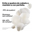 L'Oréal Metal Detox Shampoo 500ml + Recarga 500ml