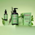 Mielle Rosemary Mint Óleo Fortalecedor para Couro Cabeludo e Cabelo 59ml
