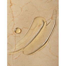 Moroccanoil Gel de Banho Bergamote Fraîche 250ml