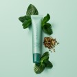 Moroccanoil Lip Balm Mint Tea 15gr