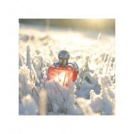 Nina Ricci Nina Women Eau de Toilette 80ml