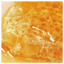 Nuxe Rêve de Miel Gel de Limpeza e Duche Recarga 400ml 