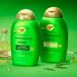 OGX Rosemary Mint Shampoo 385ml