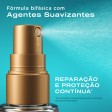 OGX Bond Protein Repair 3-in-1 Bruma em Óleo 50ml